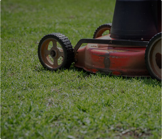 lawn mowing image