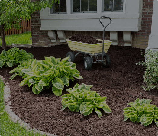 mulching image